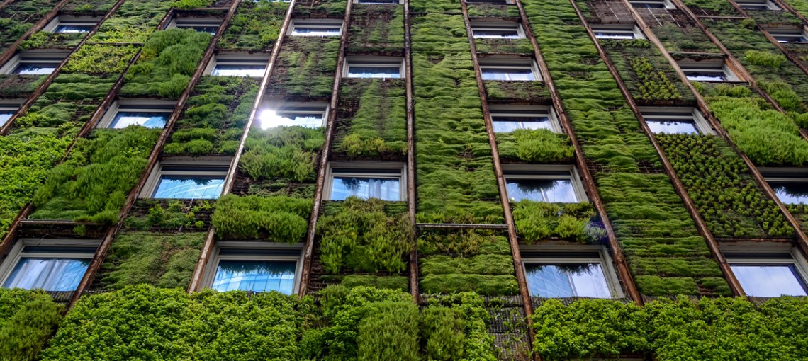 Begrünte Hausfassade