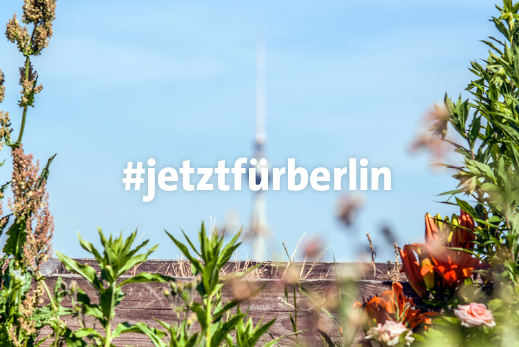 Pflanzen im Vordergrund mit unscharfem Berliner Fernsehturm im Hintergrund und dem Text